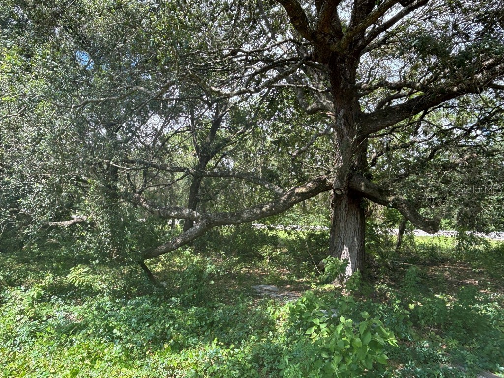 0 SE 180th Ave Ocklawaha FL 32179 - LAKE TAHOE OM707450 image10