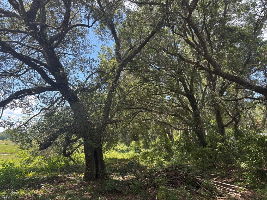 0 SE 180th Ave Ocklawaha FL 32179 - LAKE TAHOE OM707450 image11