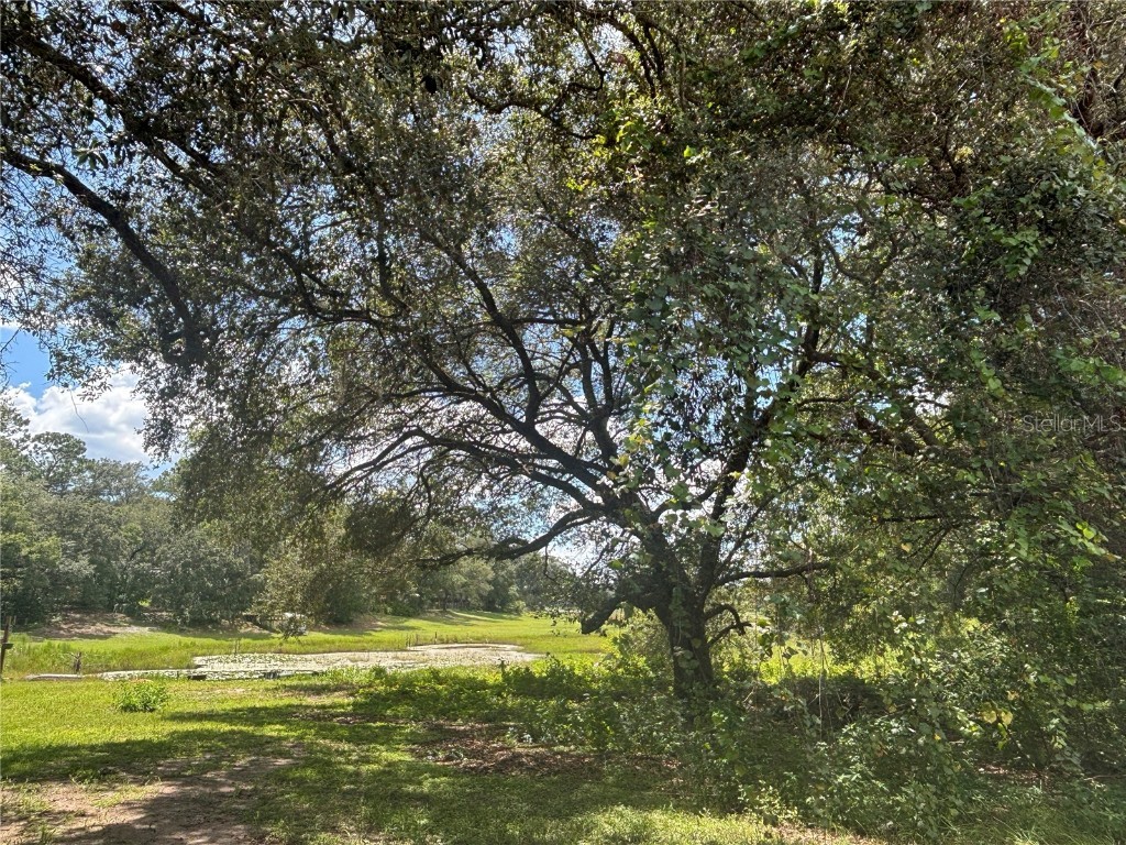 0 SE 180th Ave Ocklawaha FL 32179 - LAKE TAHOE OM707450 image12