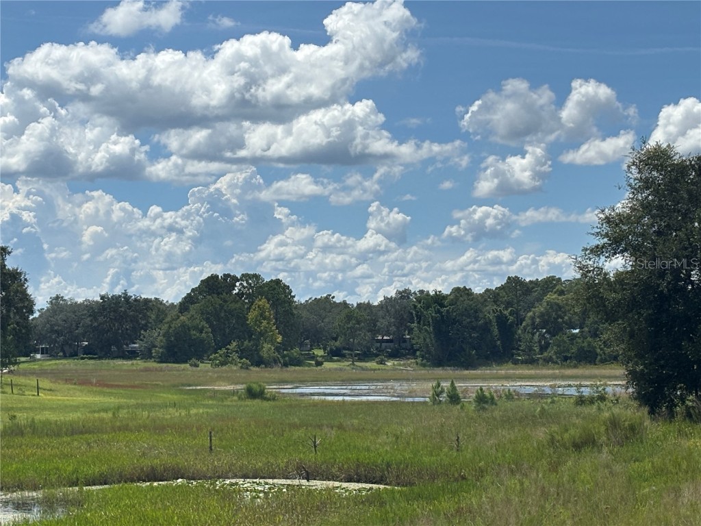 0 SE 180th Ave Ocklawaha FL 32179 - LAKE TAHOE OM707450 image4