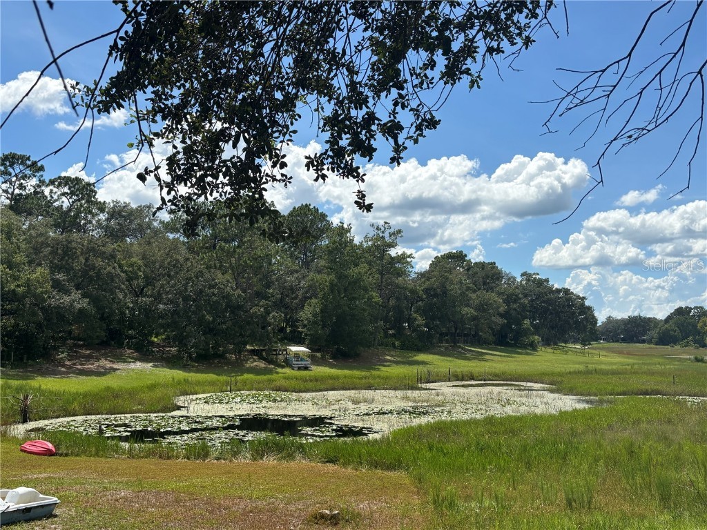 0 SE 180th Ave Ocklawaha FL 32179 - LAKE TAHOE OM707450 image6