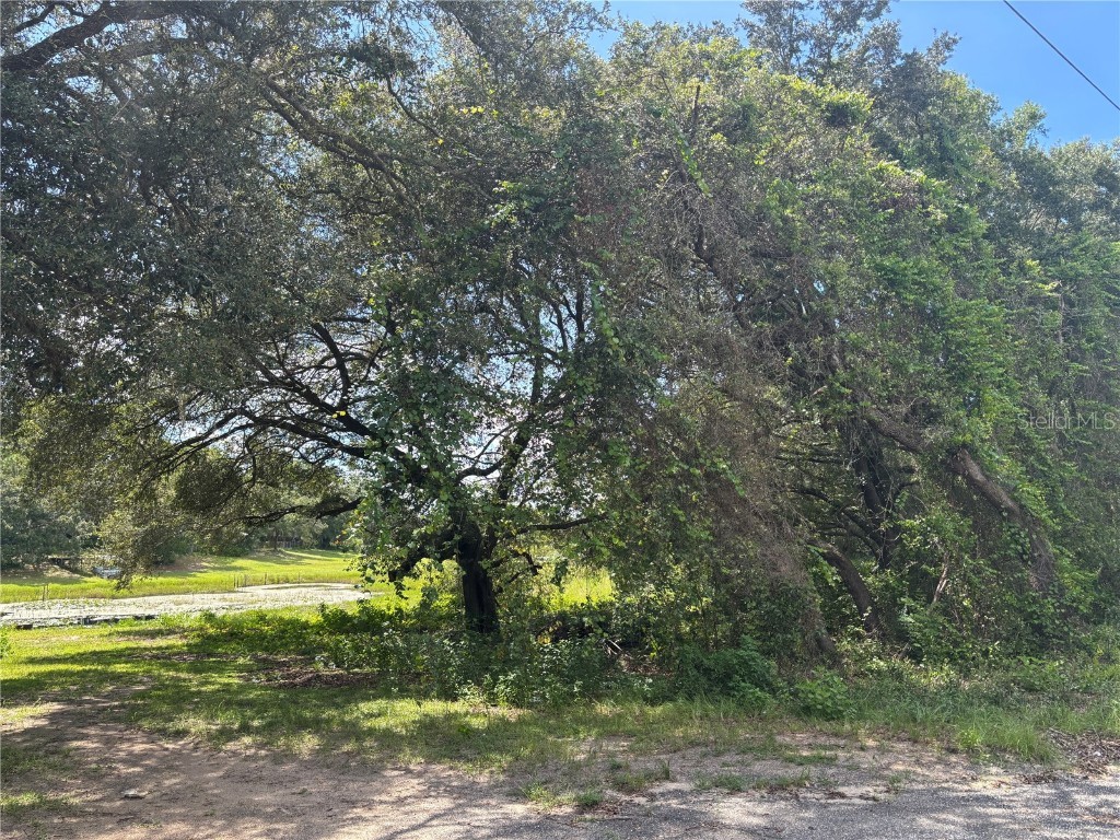 0 SE 180th Ave Ocklawaha FL 32179 - LAKE TAHOE OM707450 image8