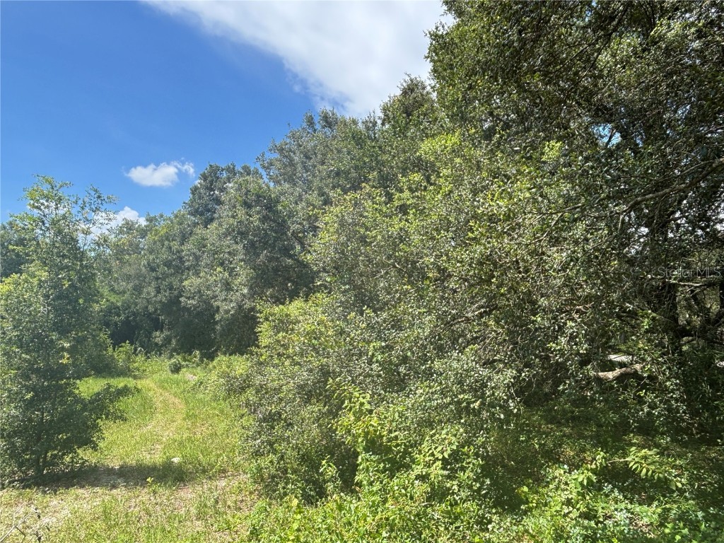 0 SE 180th Ave Ocklawaha FL 32179 - LAKE TAHOE OM707450 image9