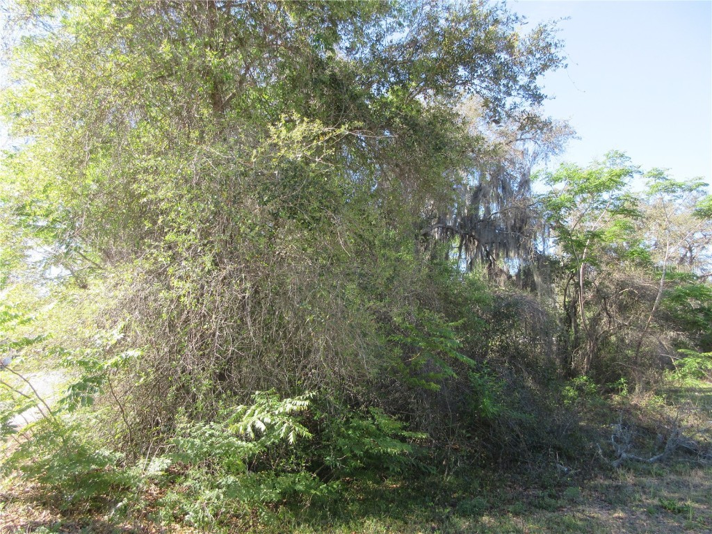 0 SE 188th Avenue Silver Springs FL 34488 OM697651 image3