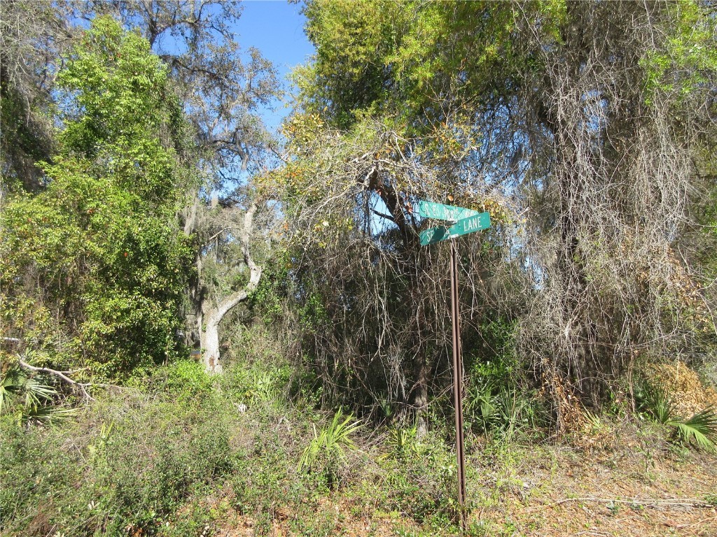 0 SE 188th Avenue Silver Springs FL 34488 OM697651 image4