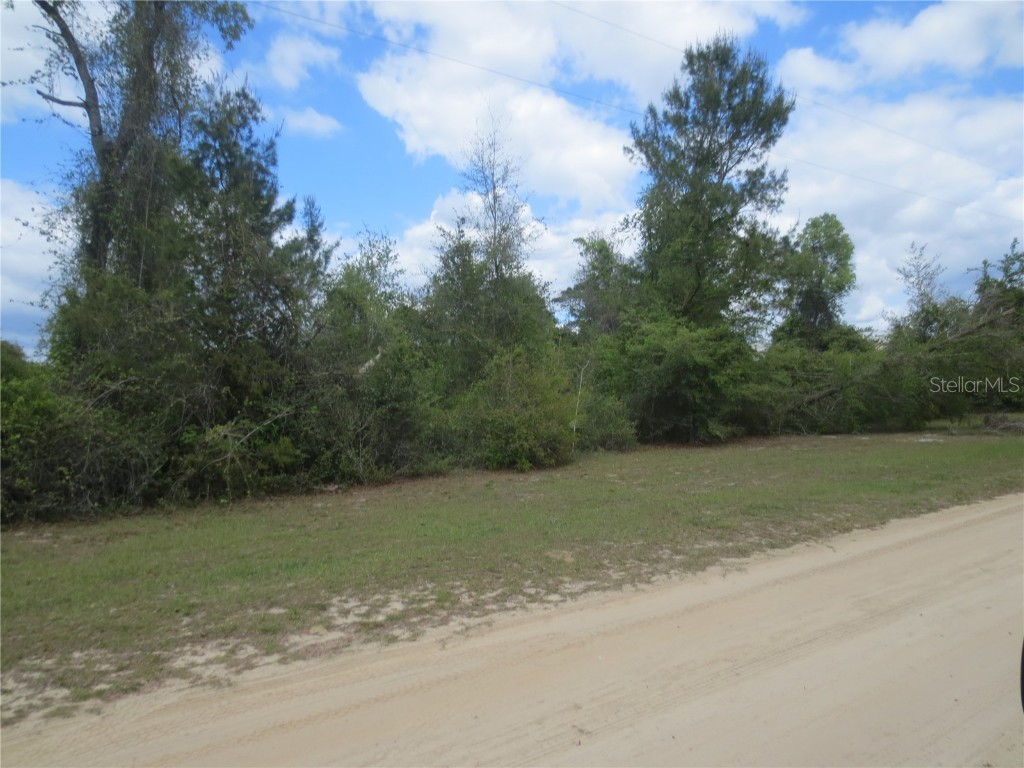 0 SE 19 Street Silver Springs FL 34488 OM655192 image1