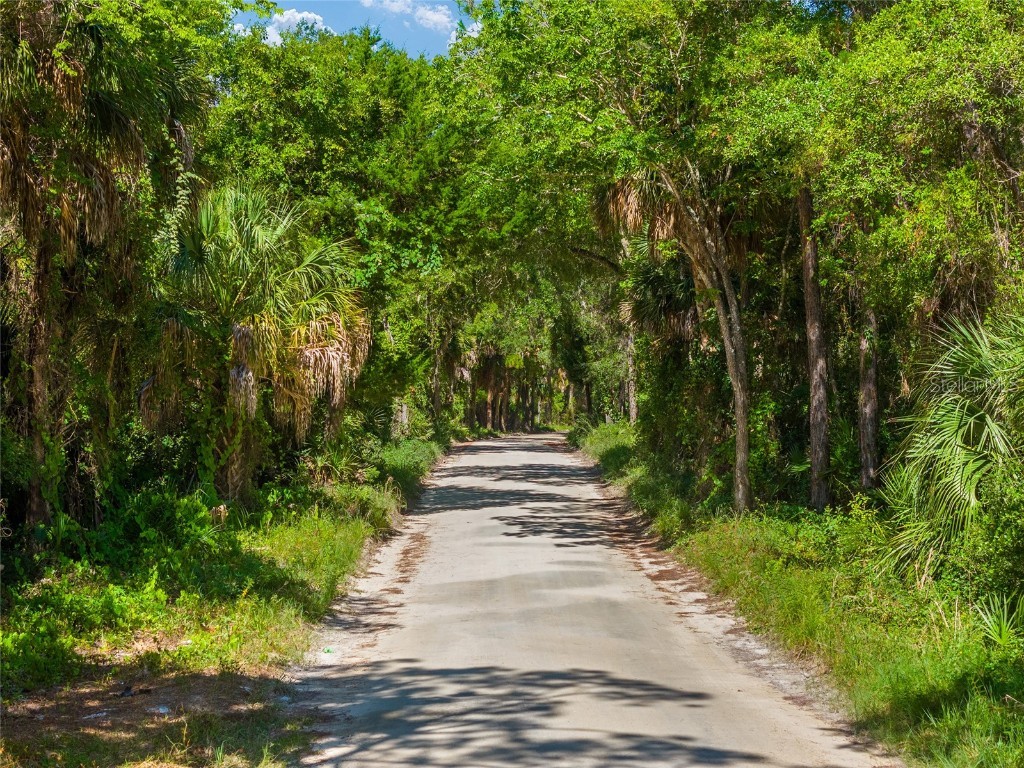 0 SE 193rd Place Yankeetown FL 34498 OM682602 image20