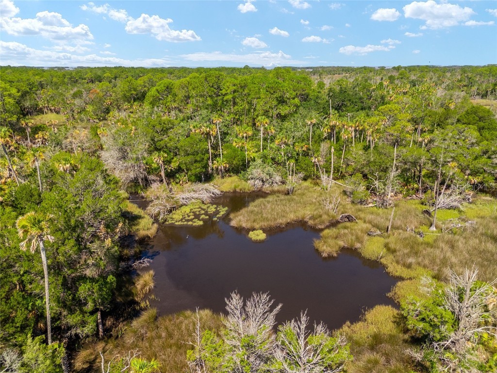 0 SE 193rd Place Yankeetown FL 34498 OM682602 image25