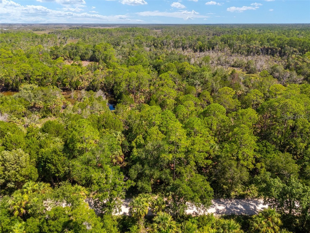 0 SE 193rd Place Yankeetown FL 34498 OM682602 image29