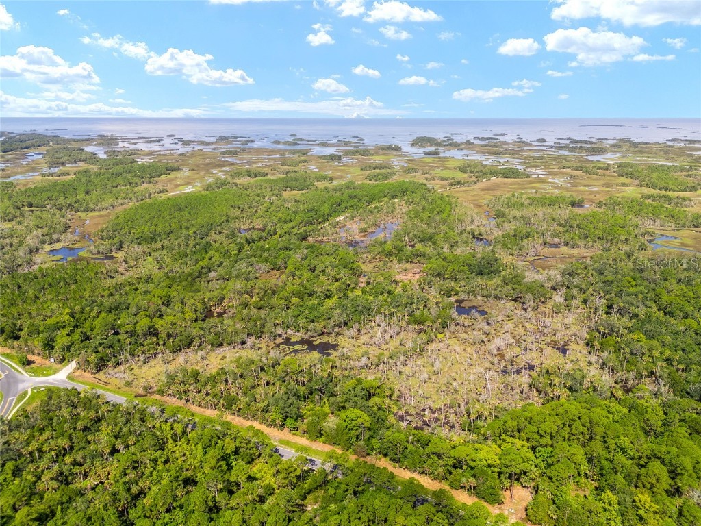 0 SE 193rd Place Yankeetown FL 34498 OM682602 image5