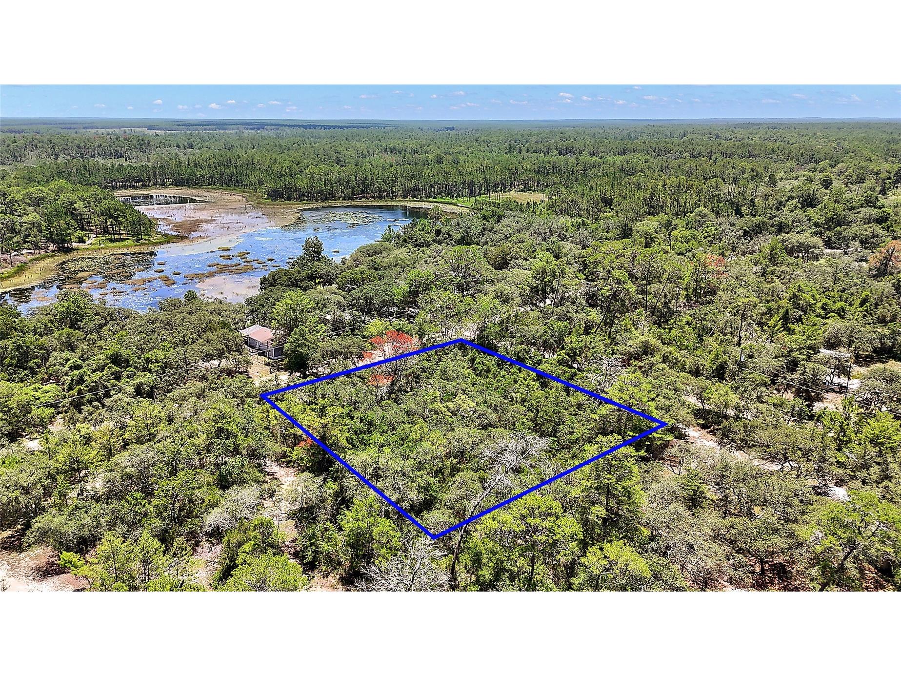 0 SE 197th Avenue Ocklawaha FL 32179 - BIG STEEP LAKE TB8494790 image1