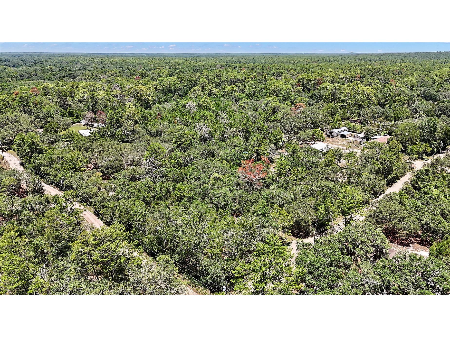 0 SE 197th Avenue Ocklawaha FL 32179 - BIG STEEP LAKE TB8494790 image10