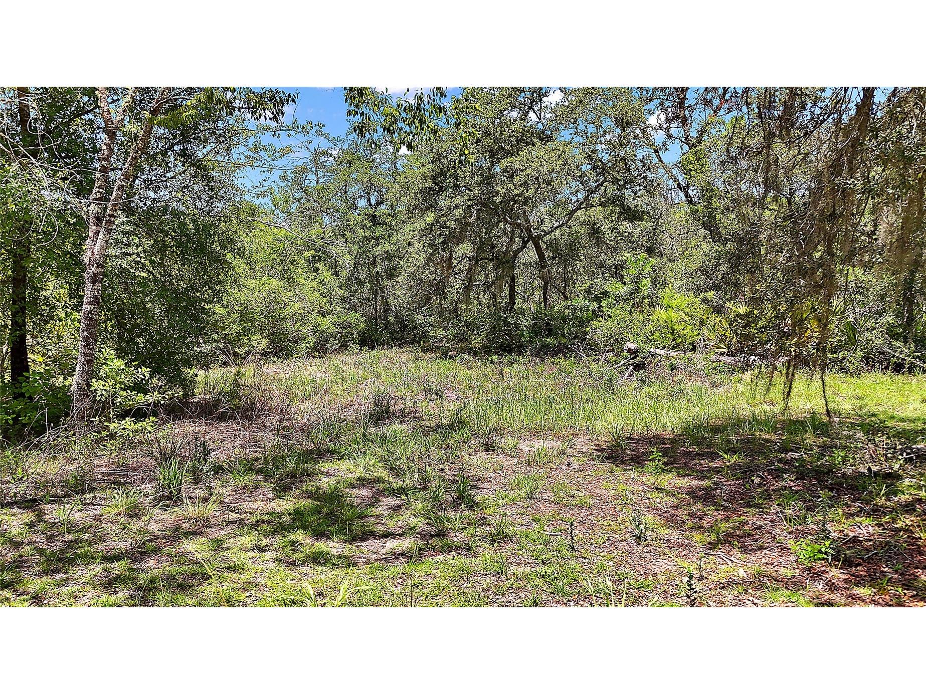 0 SE 197th Avenue Ocklawaha FL 32179 - BIG STEEP LAKE TB8494790 image2