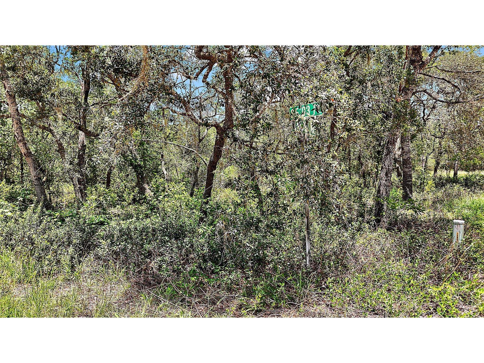 0 SE 197th Avenue Ocklawaha FL 32179 - BIG STEEP LAKE TB8494790 image4