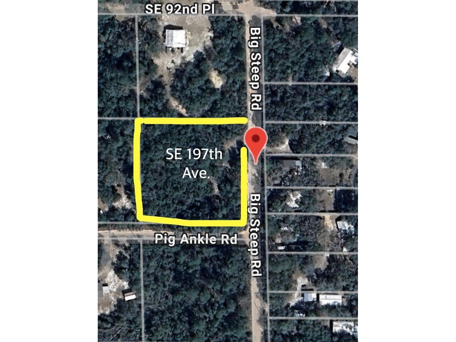 0 SE 197th Avenue Ocklawaha FL 32179 - BIG STEEP LAKE TB8494790 image5