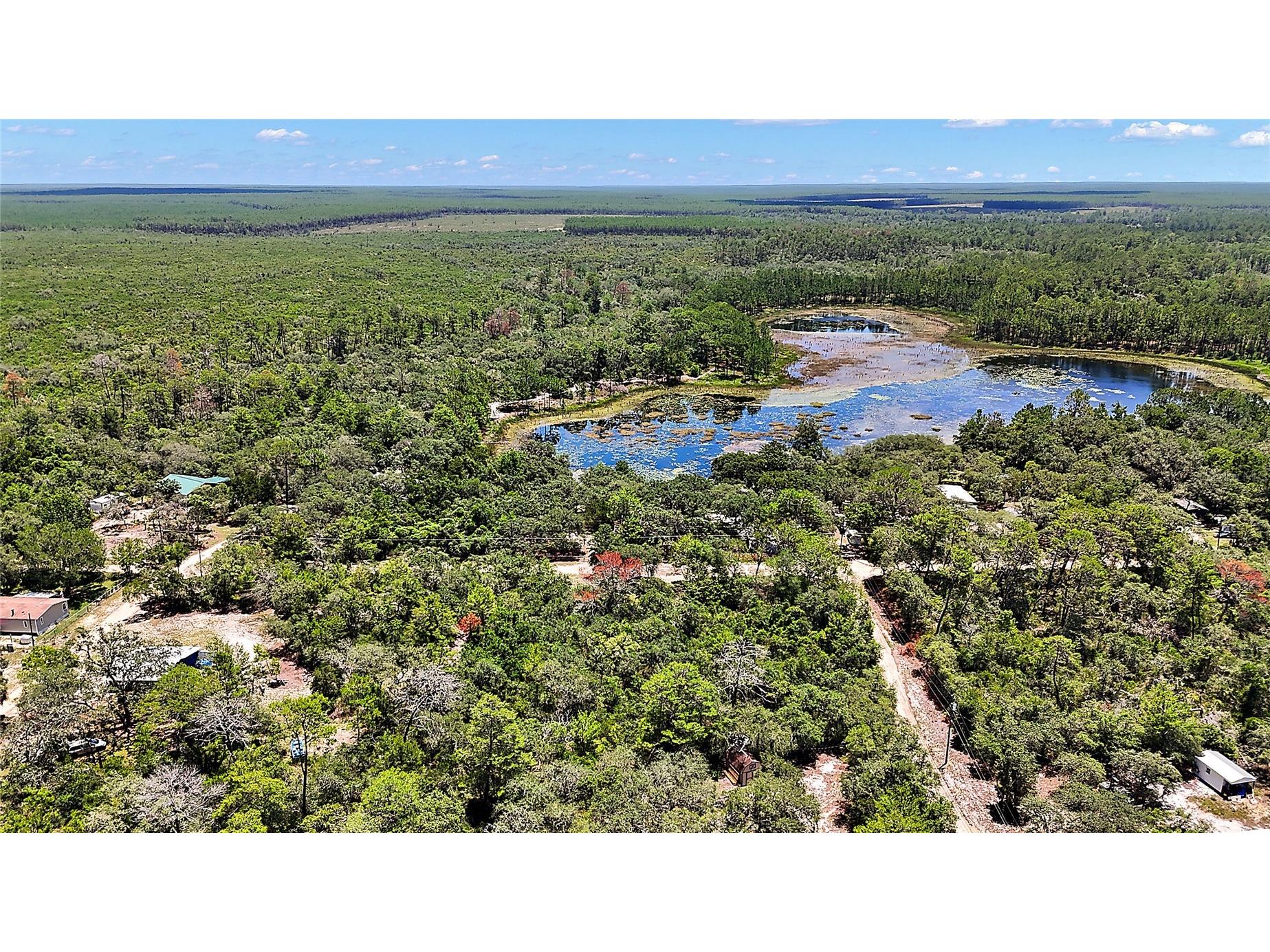 0 SE 197th Avenue Ocklawaha FL 32179 - BIG STEEP LAKE TB8494790 image6