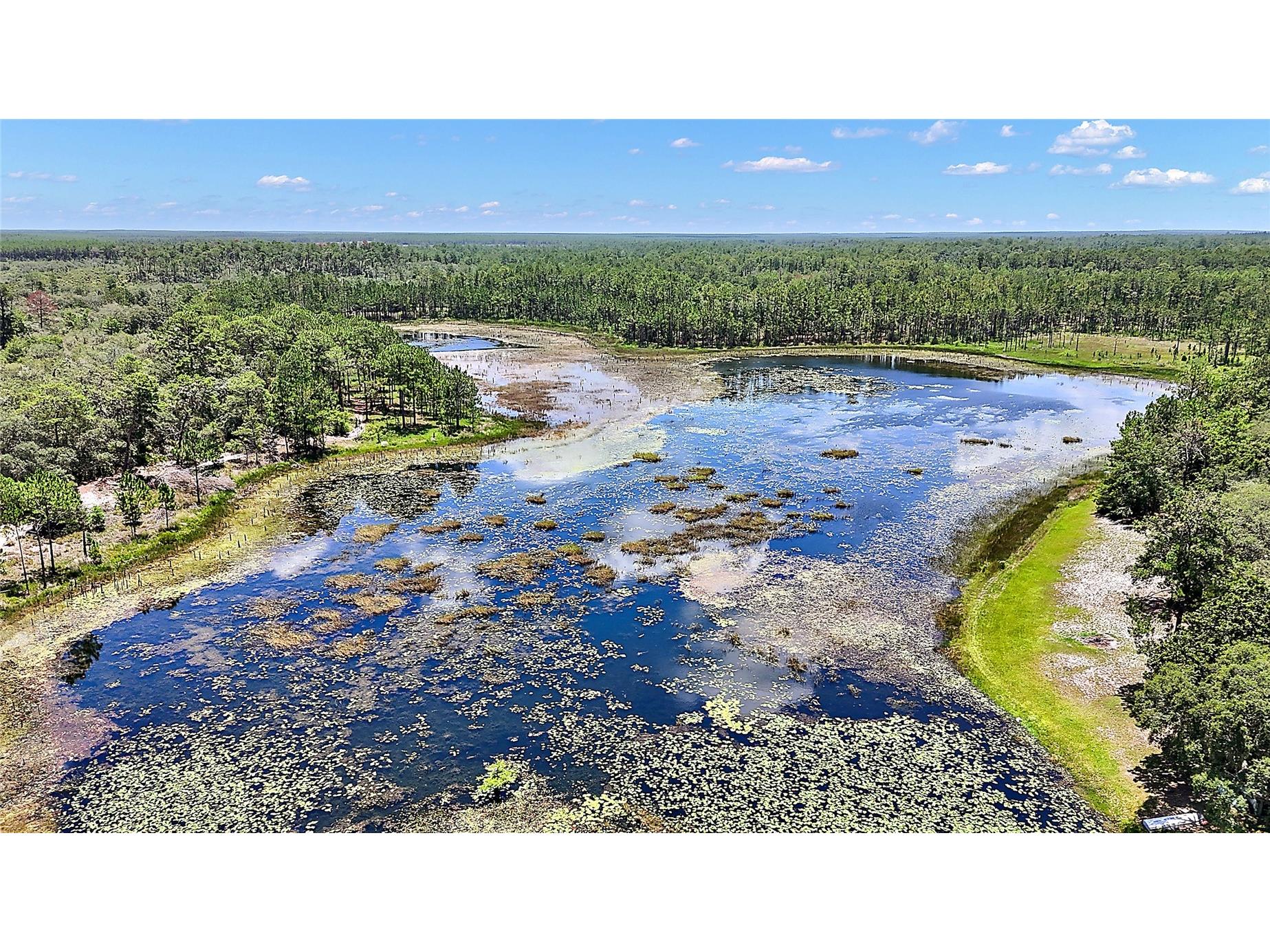 0 SE 197th Avenue Ocklawaha FL 32179 - BIG STEEP LAKE TB8494790 image7
