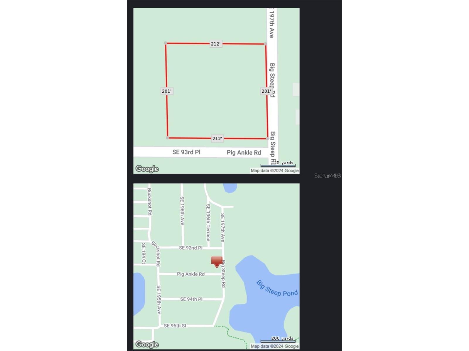 0 SE 197th Avenue Ocklawaha FL 32179 - BIG STEEP LAKE TB8494790 image8