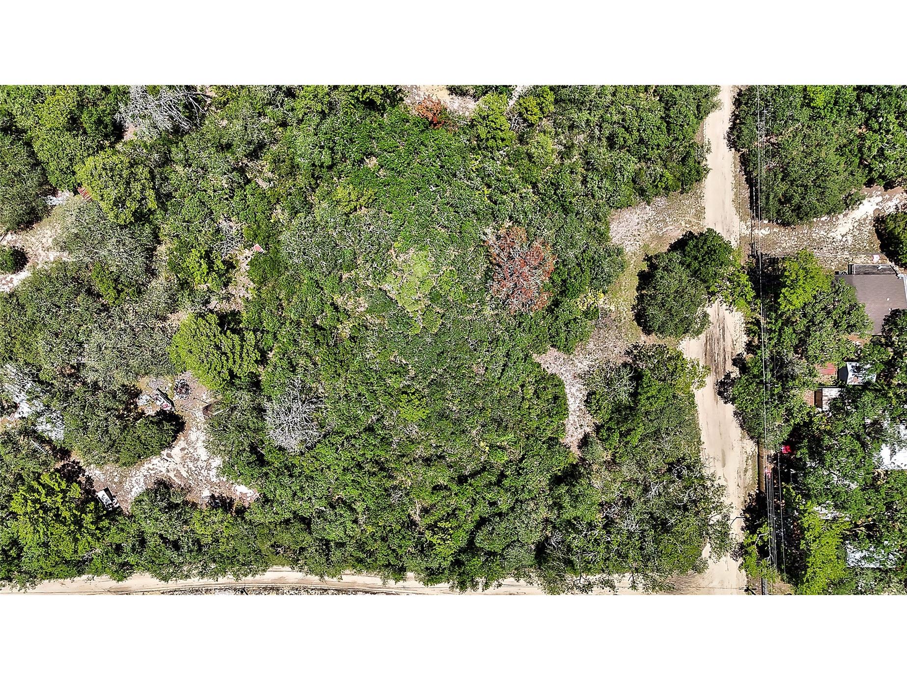 0 SE 197th Avenue Ocklawaha FL 32179 - BIG STEEP LAKE TB8494790 image9