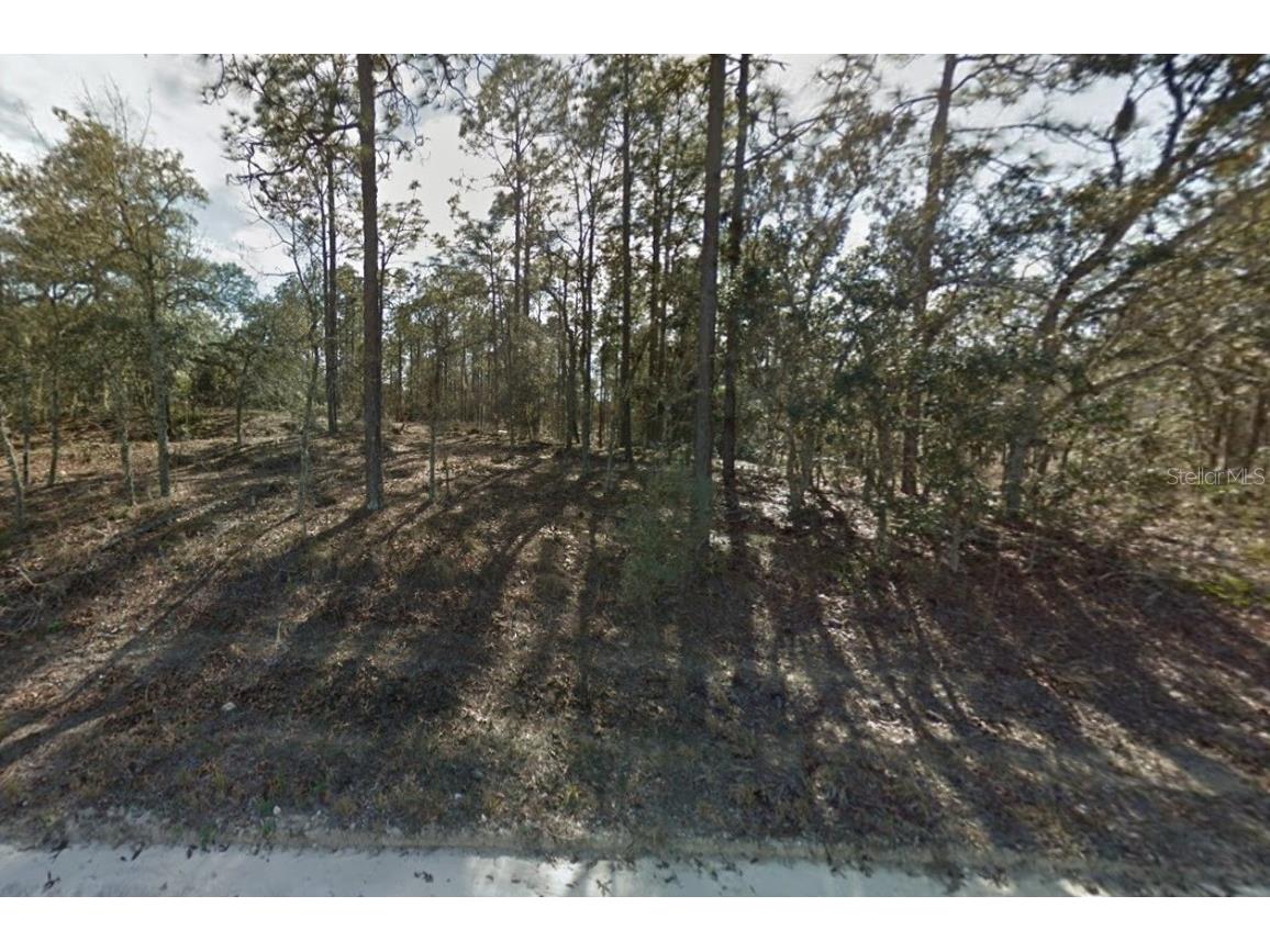 0 SE 21st Place Morriston FL 32668 G5090984 image1