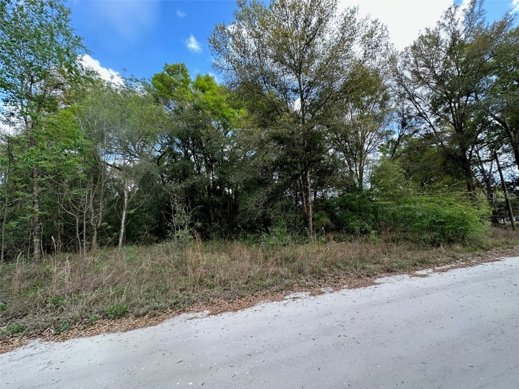 0 SE 30th Court Summerfield FL 34491 OM654192 image1