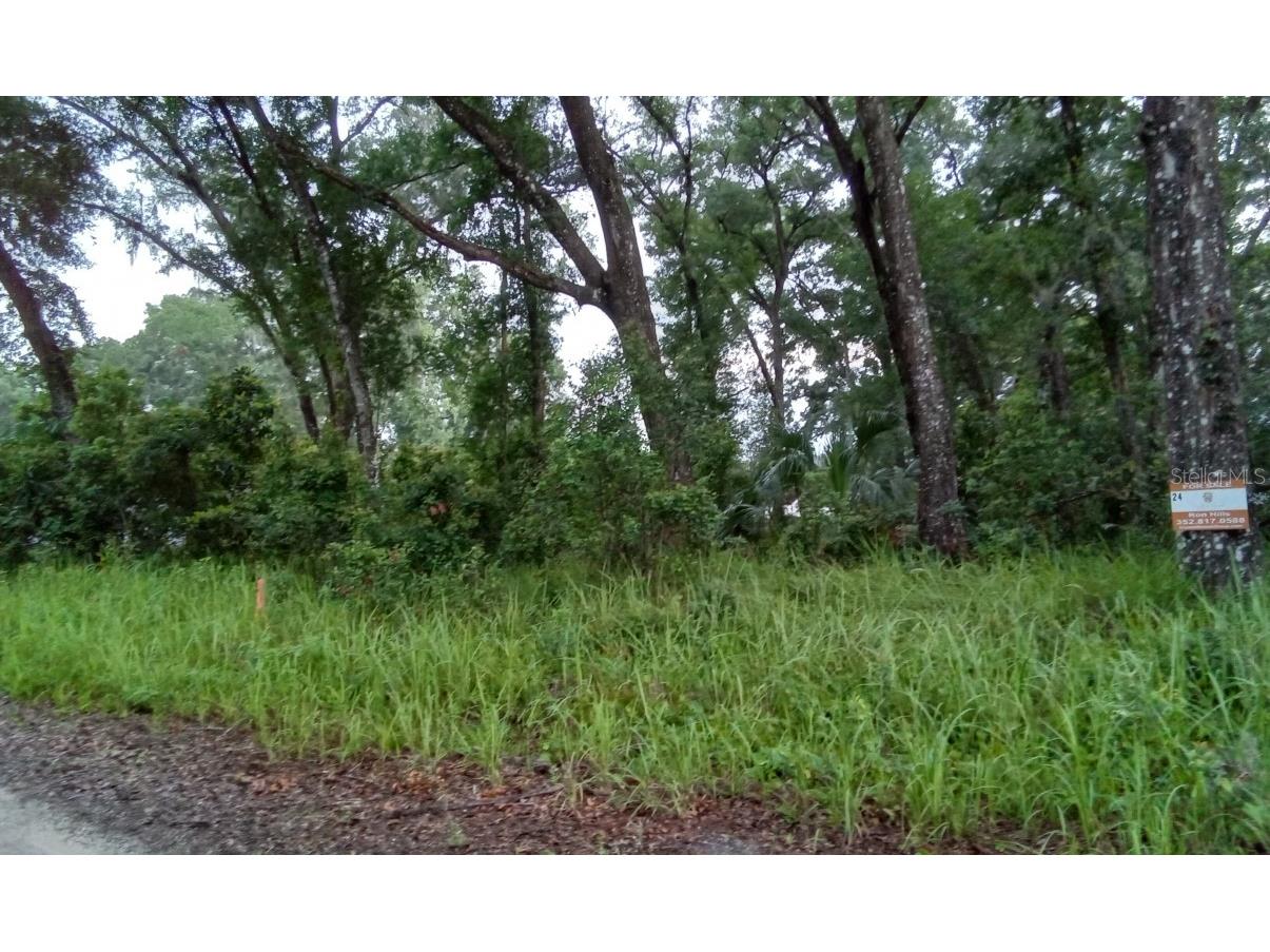 0 SE 33rd Court Belleview FL 34420 O6120534 image1