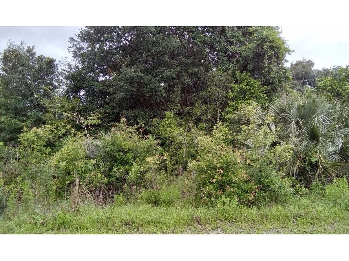 0 SE 34th Court #17 Summerfield FL 34491 O6124100 image1