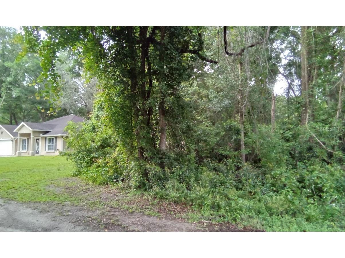 0 SE 34th Court Belleview FL 34420 O6120759 image1