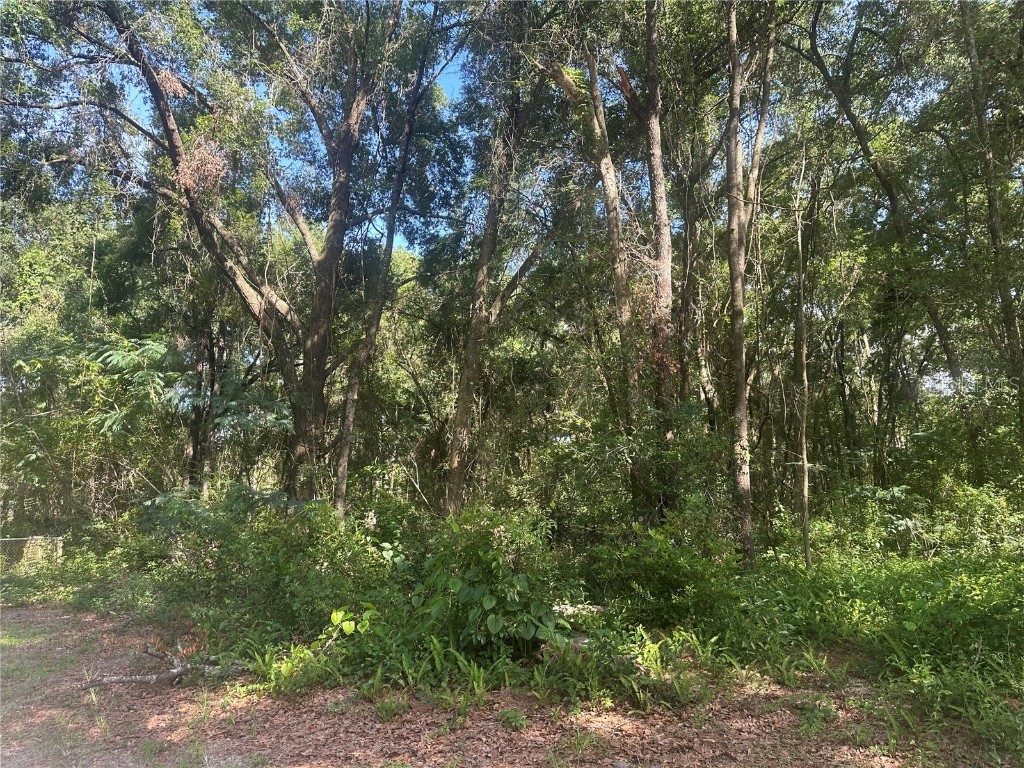 0 SE 36th Avenue Ocala FL 34480 OM705382 image8
