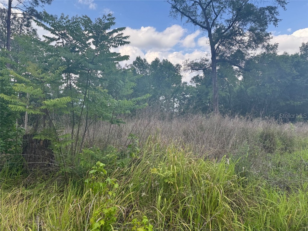 0 SE 37 Court Belleview FL 34420 OM699339 image1