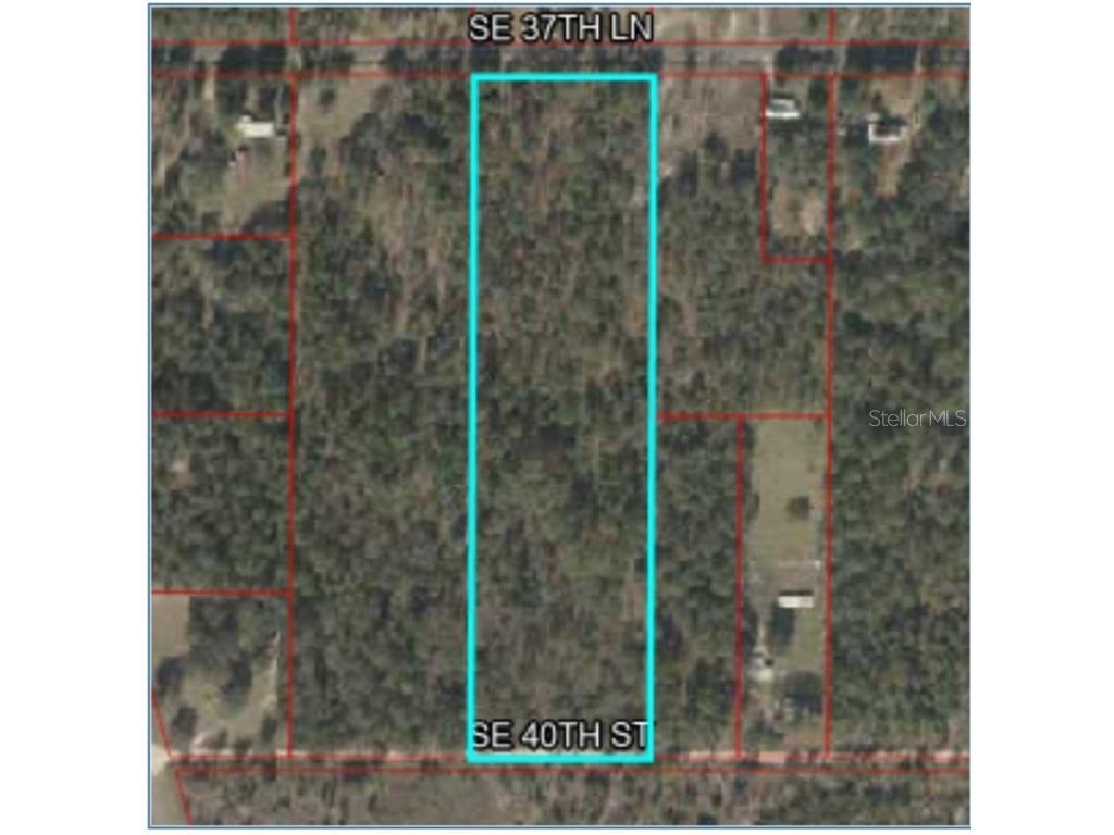 0 SE 37 Lane Morriston FL 32668 T3463290 image1