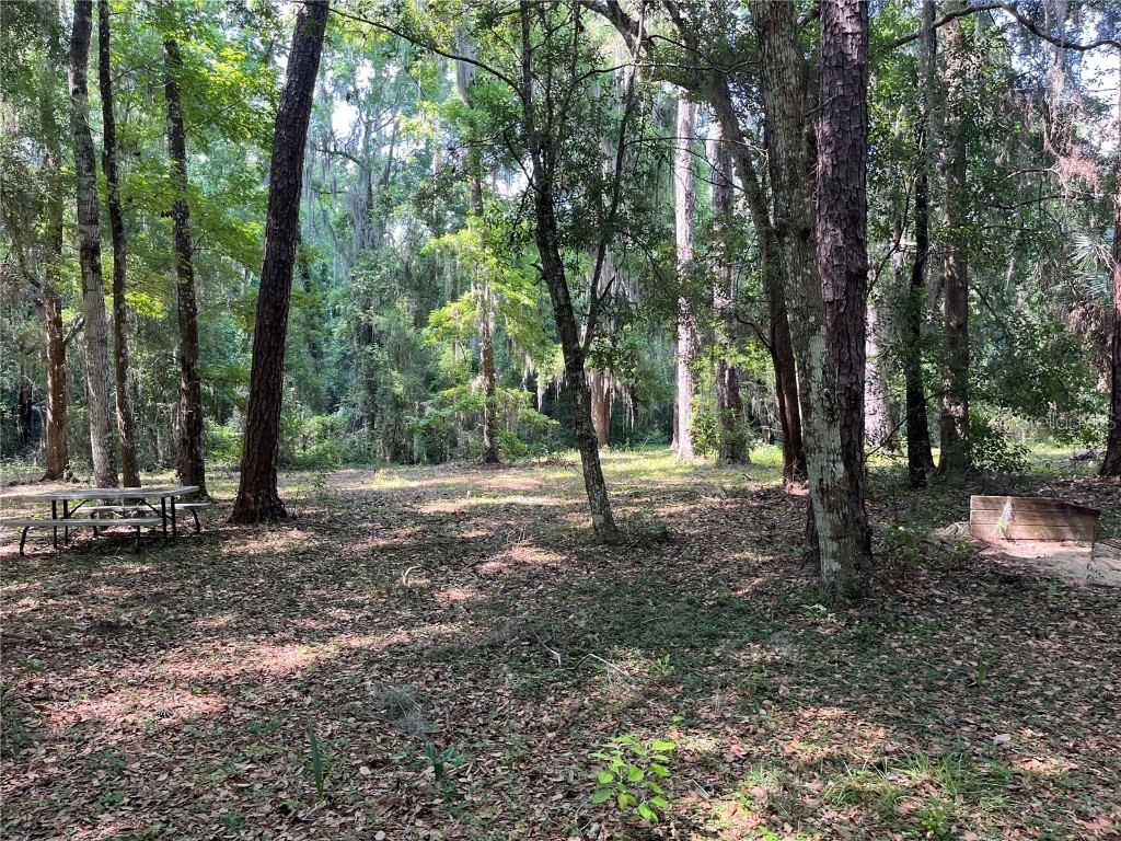 0 SE 40th Avenue Belleview FL 34420 NS1081731 image1