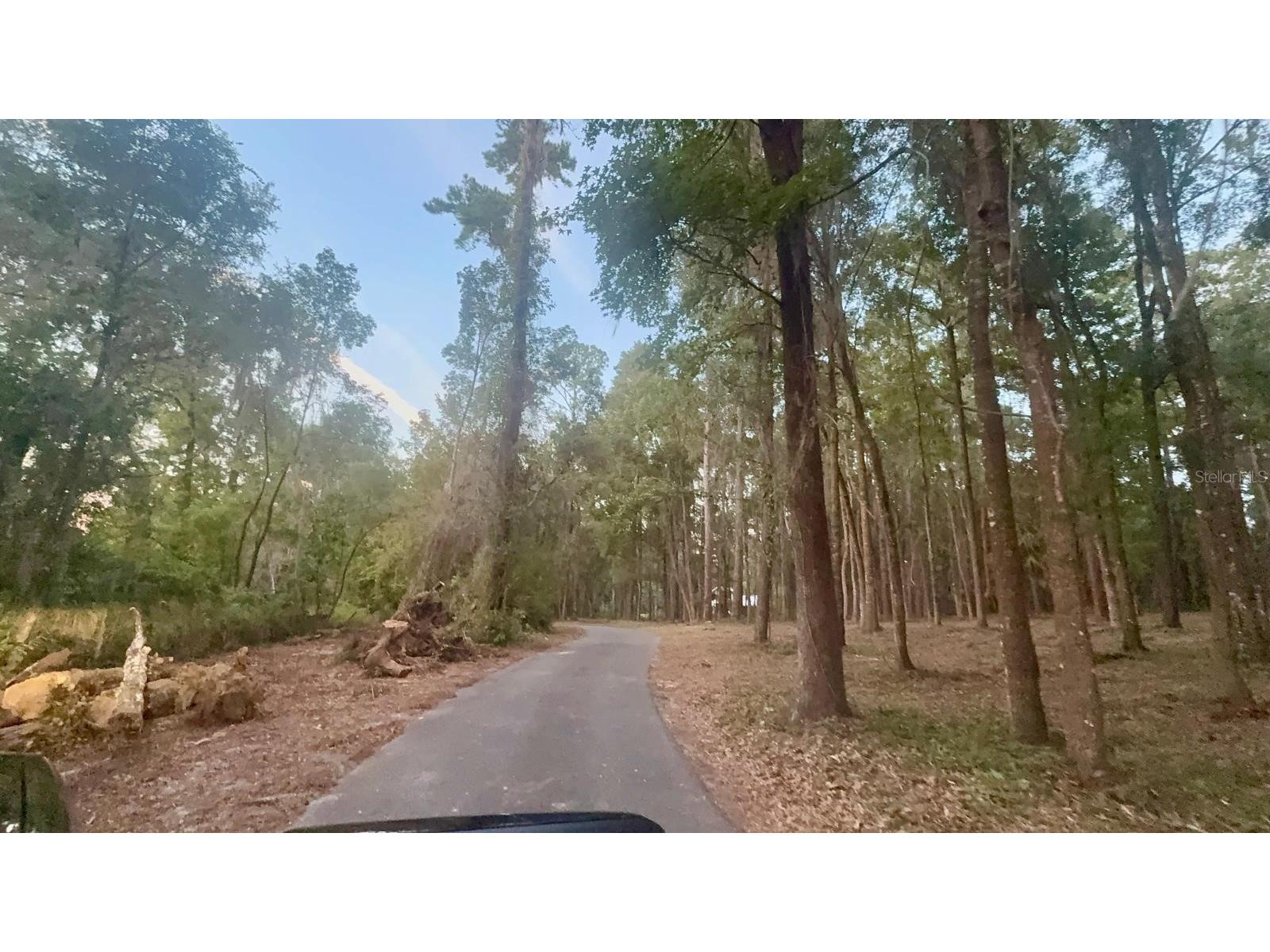 0 SE 40th Avenue Belleview FL 34420 O6271773 image24