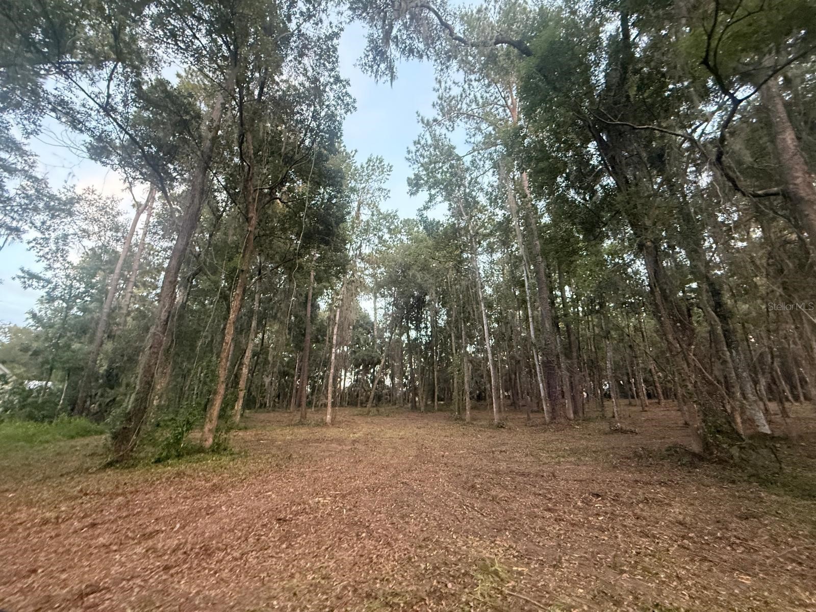 0 SE 40th Avenue Belleview FL 34420 O6271773 image25