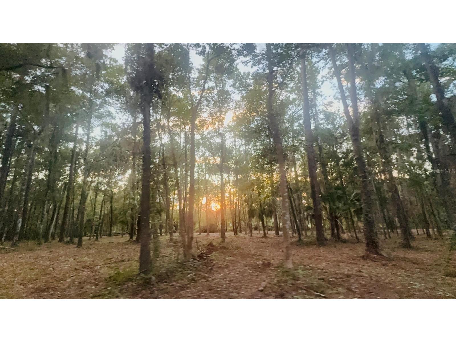 0 SE 40th Avenue Belleview FL 34420 O6271773 image26