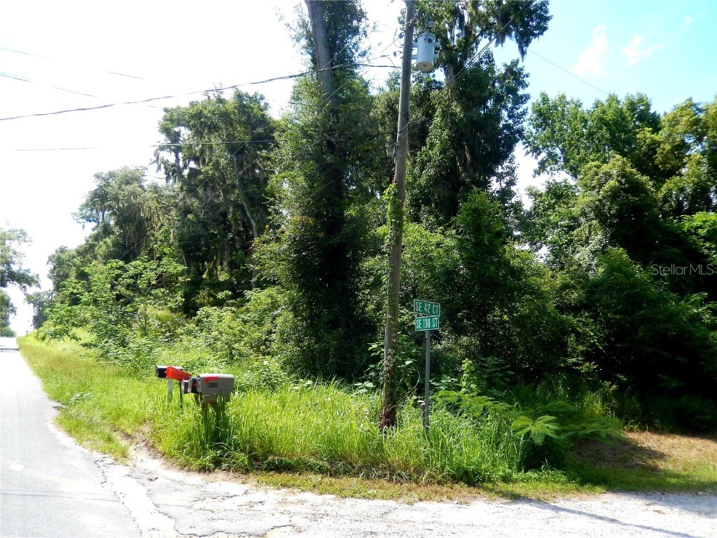 0 SE 42 Court Belleview FL 34420 OM682407 image1