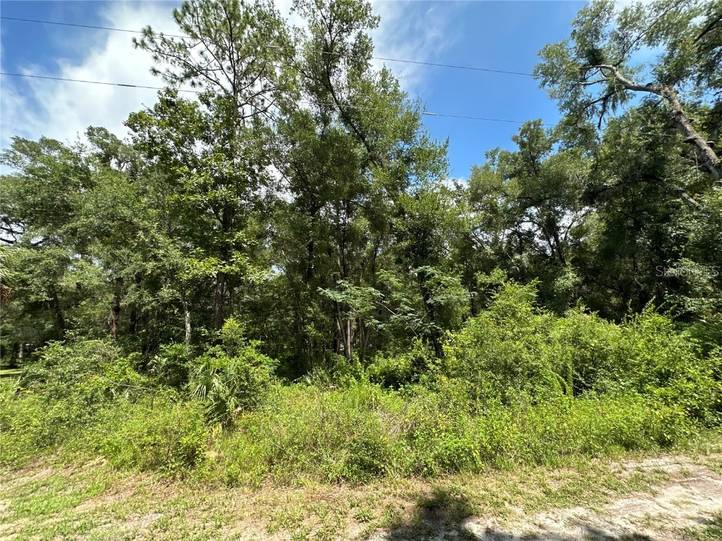 0 SE 44 Court Belleview FL 34420 OM661034 image1