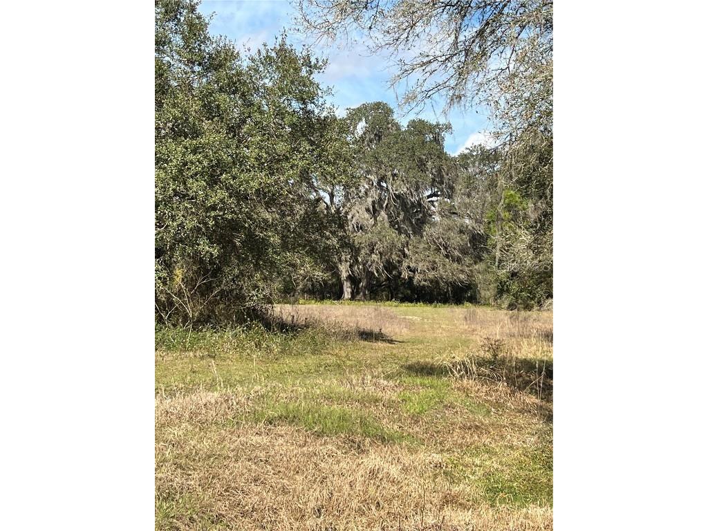 0 SE 44th Place Bushnell FL 33513 G5064840 image1