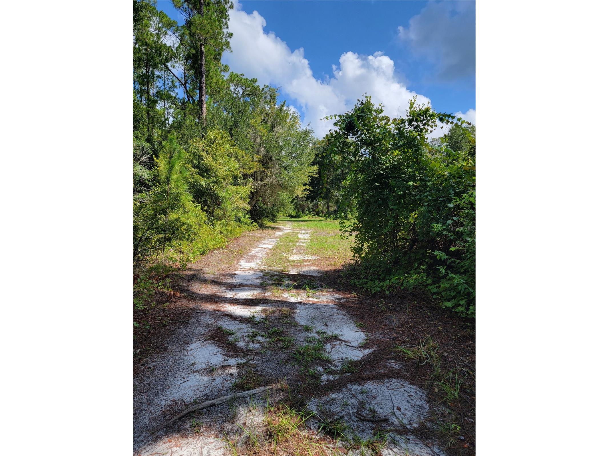 0 SE 464c Highway Ocklawaha FL 32179 G5112813 image12