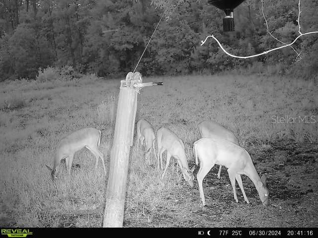 0 SE 464c Highway Ocklawaha FL 32179 G5112813 image21
