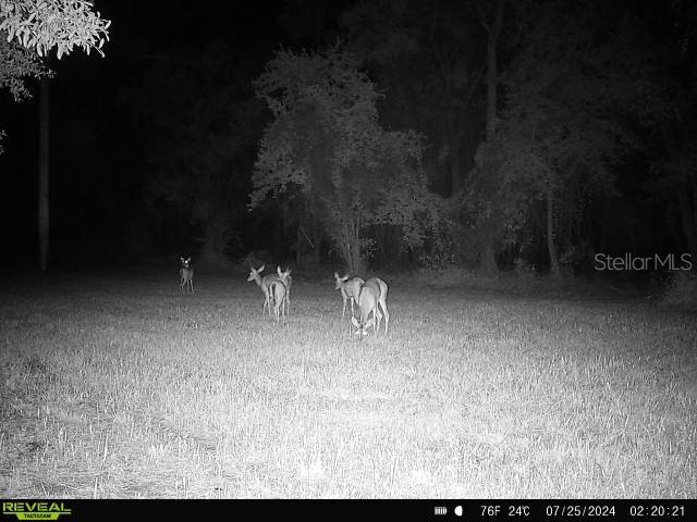 0 SE 464c Highway Ocklawaha FL 32179 G5112813 image25