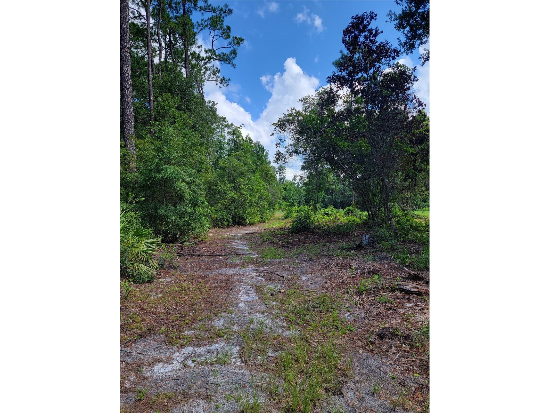 0 SE 464c Highway Ocklawaha FL 32179 G5112813 image3