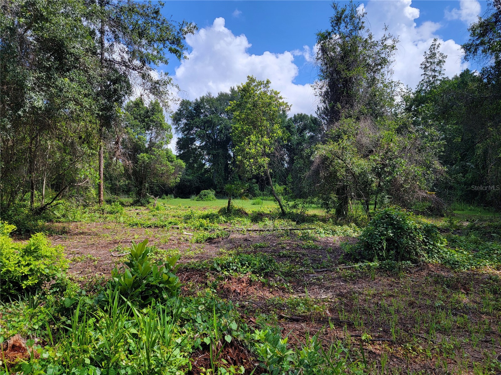 0 SE 464c Highway Ocklawaha FL 32179 G5112813 image4