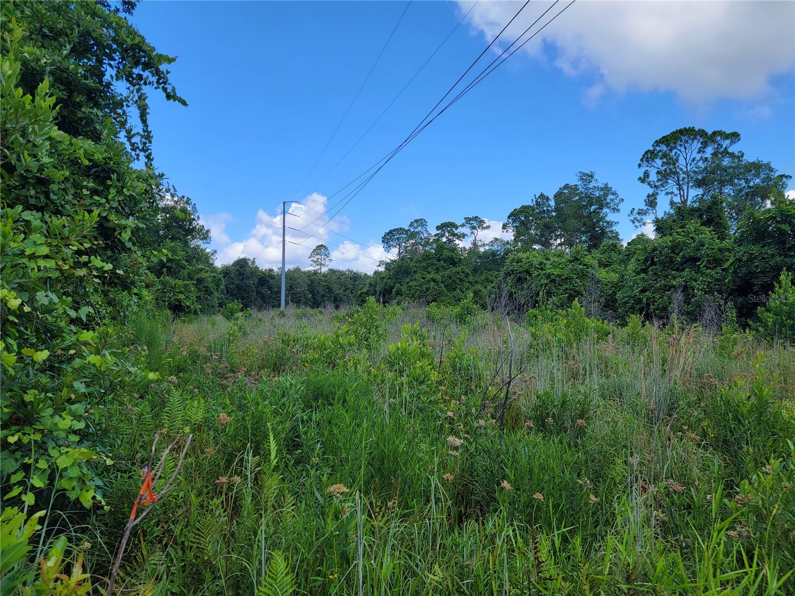 0 SE 464c Highway Ocklawaha FL 32179 G5112813 image5