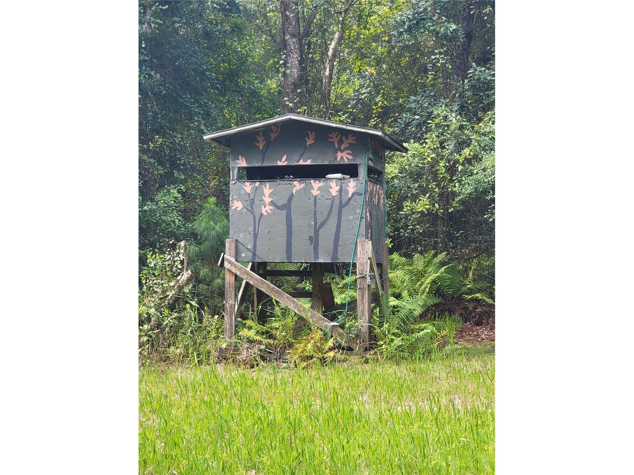 0 SE 464c Highway Ocklawaha FL 32179 G5112813 image6