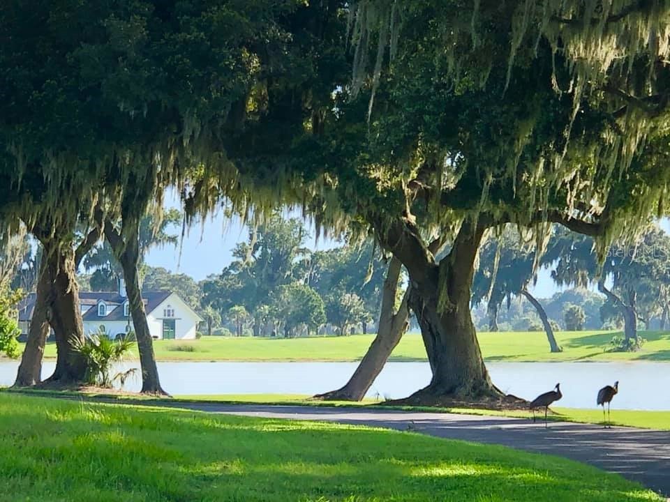 0 SE 61st Terrace Road #10A Summerfield FL 34491 - LAKE LOTUS OM655203 image1