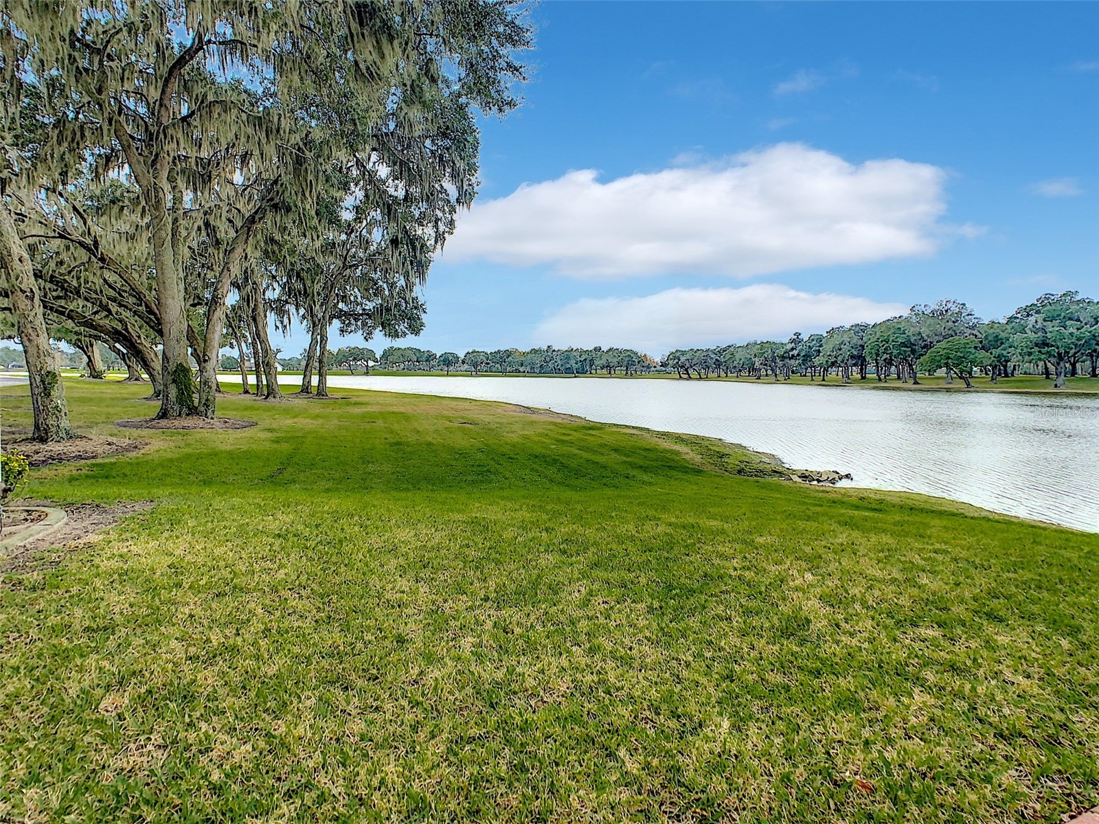 0 SE 61st Terrace Road #10B Summerfield FL 34491 - LAKE LOTUS OM724788 image1