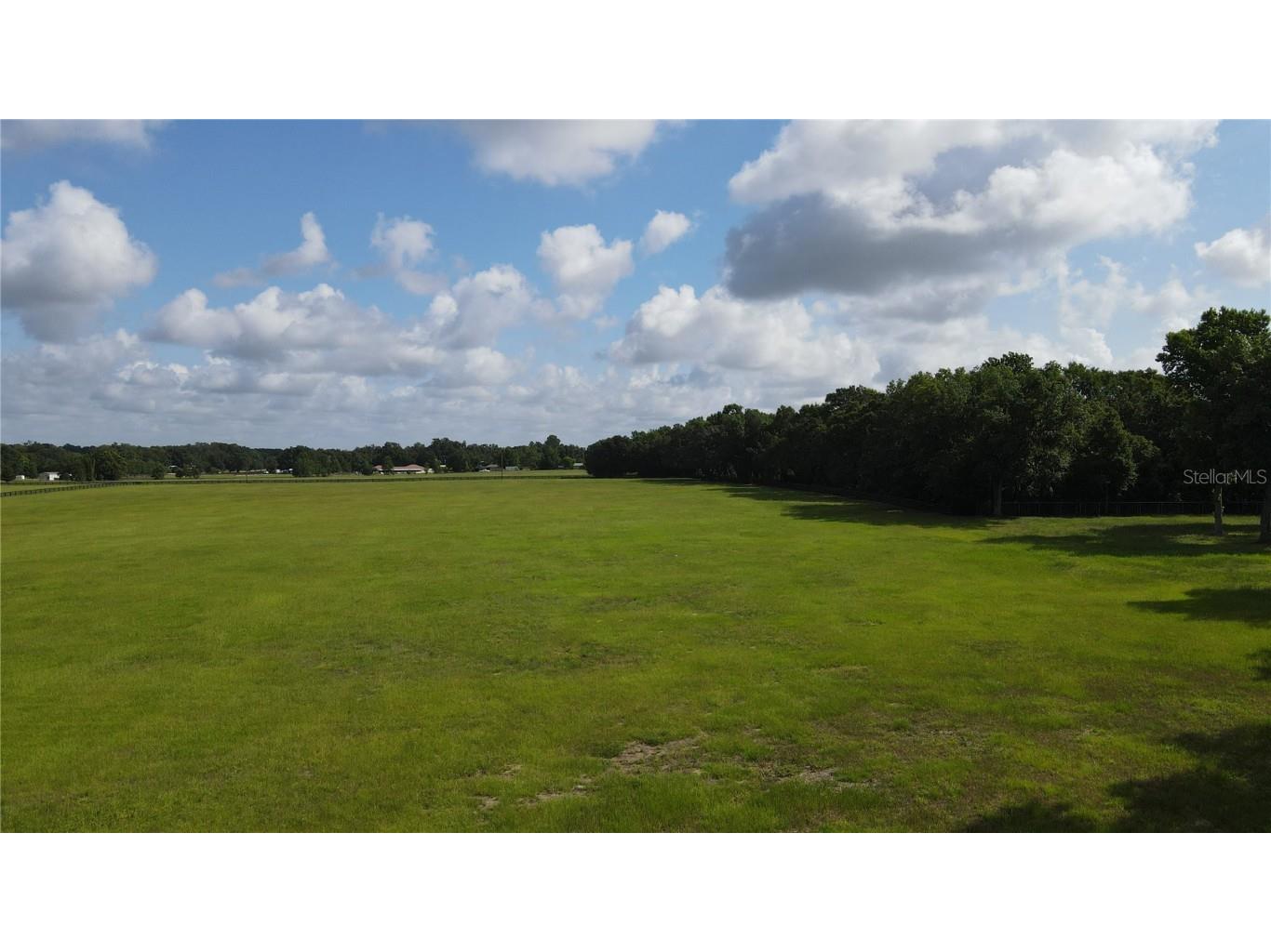 0 SE 61st Terrace Road #12 Summerfield FL 34491 - LAKE LOTUS OM655306 image1