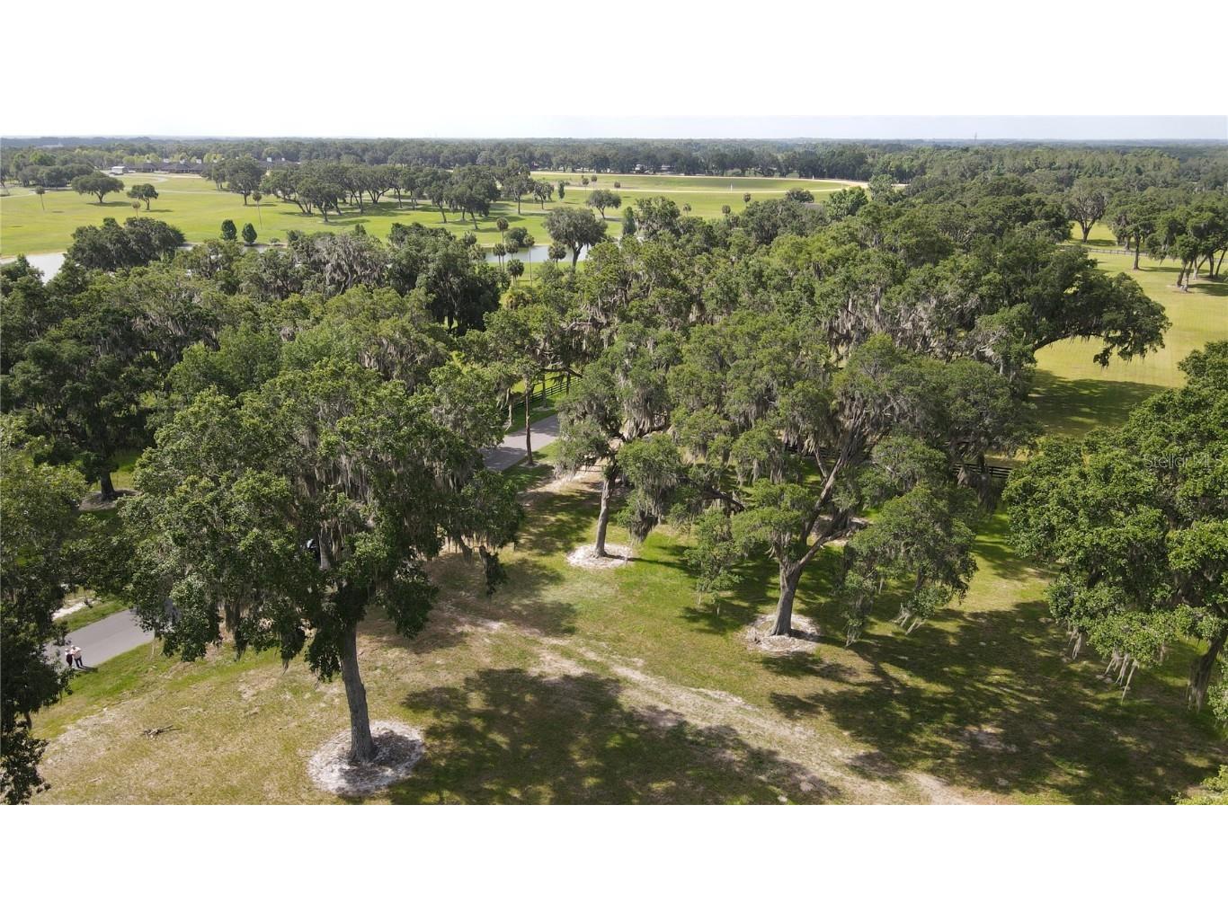 0 SE 61st Terrace Road #16 Summerfield FL 34491 - LAKE LOTUS J963825 image1