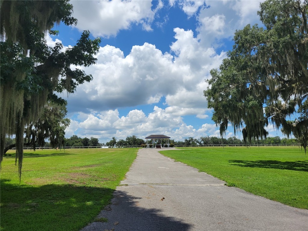 0 SE 61st Terrace Road #16 Summerfield FL 34491 - LAKE LOTUS OM681354 image6